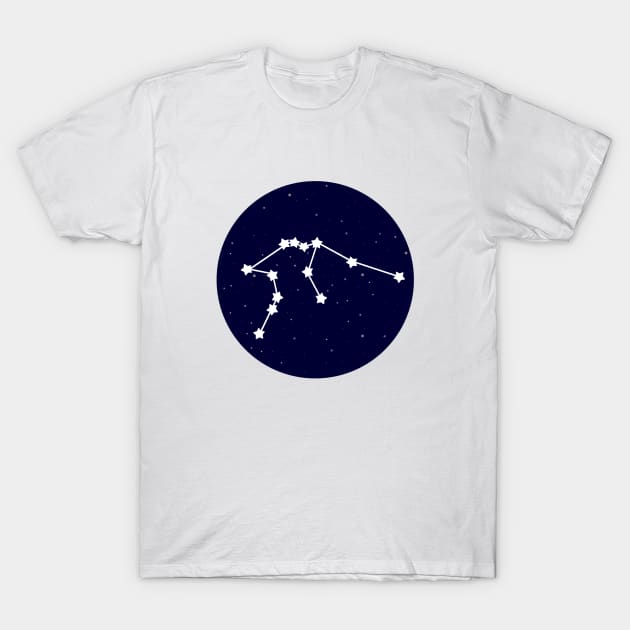 Aquarius Zodiac Constellation T-Shirt by lulubee